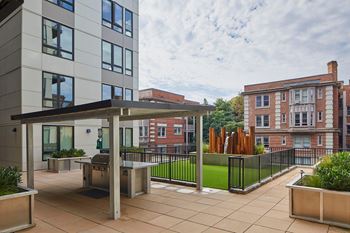 Pet park in courtyard